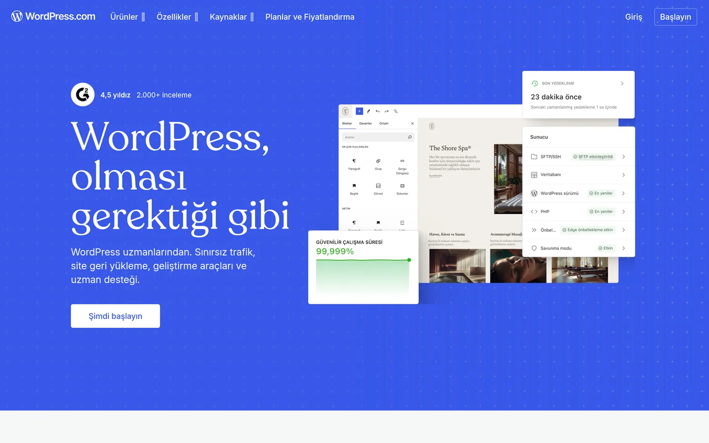 WordPress