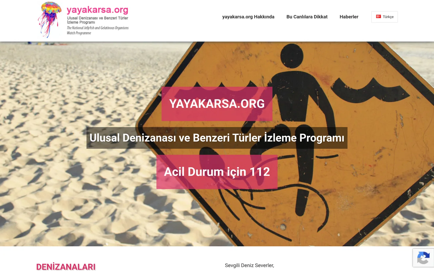 Yayakarsa (Denizanası İzleme Programı)