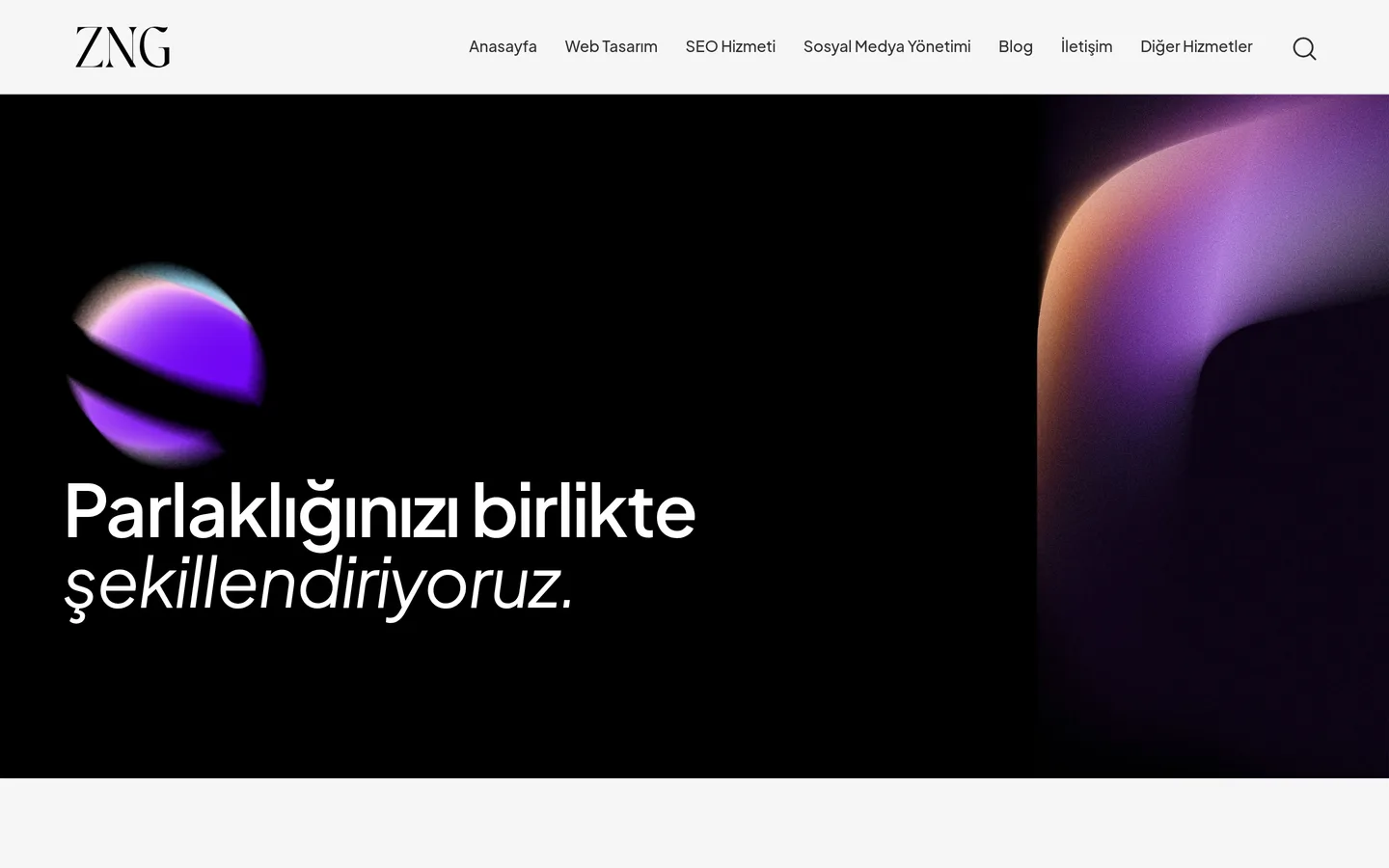 ZNG Agency (Referans)